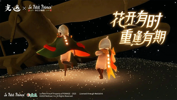 光遇空巢版免费版