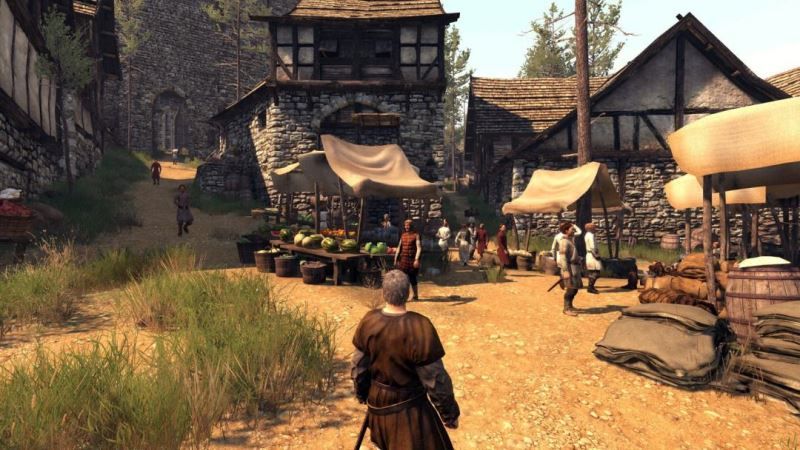 骑马与砍杀2色盲色弱画面补丁