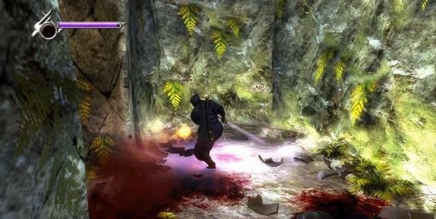 忍者龙剑传3刀锋边缘十项修改器