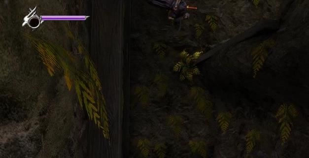 忍者龙剑传3刀锋边缘十项修改器