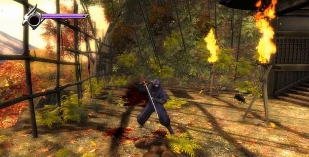 忍者龙剑传3刀锋边缘十项修改器